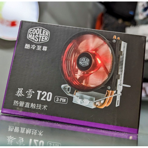 T20
