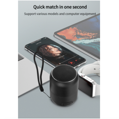 WESDAR K269 Water Proof Portable Bluetooth Speaker