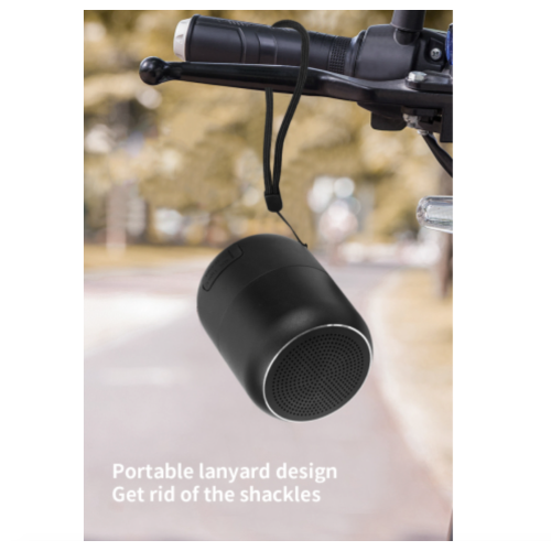 WESDAR K269 Water Proof Portable Bluetooth Speaker